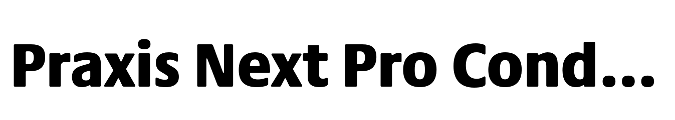 Praxis Next Pro Condensed Black